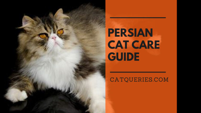 persin cat care guide