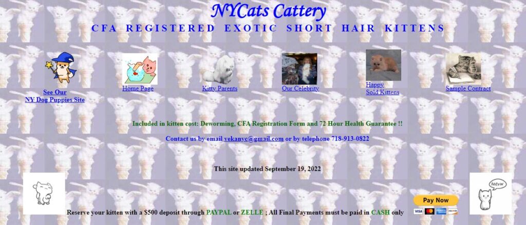 NY Cats Cattery 