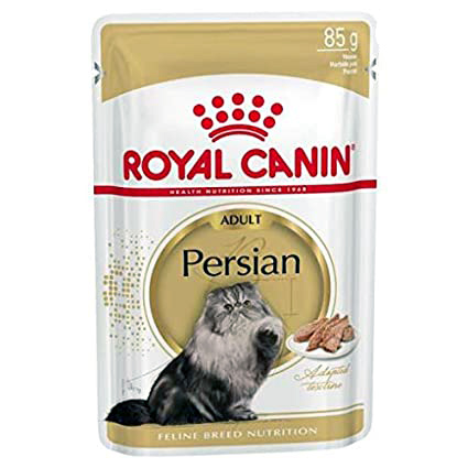 Best wet food for adult persian cat from royal canin