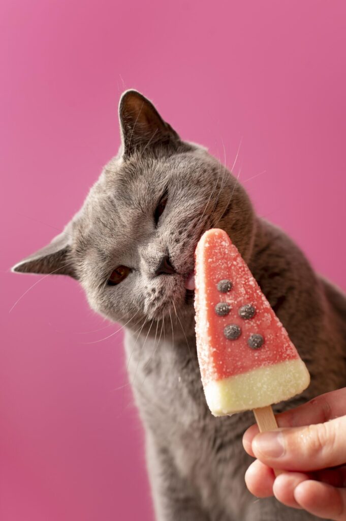A cat eating ice-cream stick