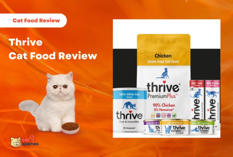 Thrive Cat Food Review