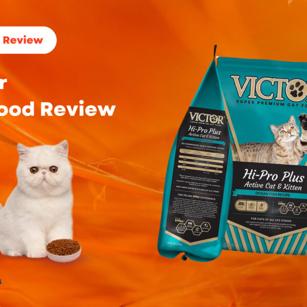 Ziwi Peak Cat Food Review 2023 CatQueries