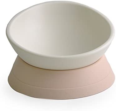 iBard Dual Purpose Slanted Sterile Tableware Feeding Watering Supplies Food Bowl
