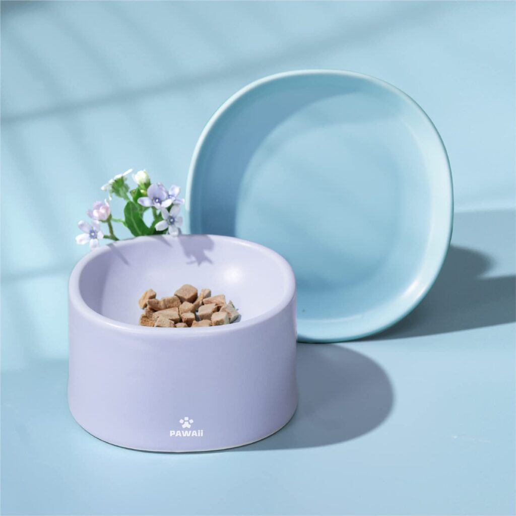 Pawaii Ceramic Combined Type Elevated Cat Bowl