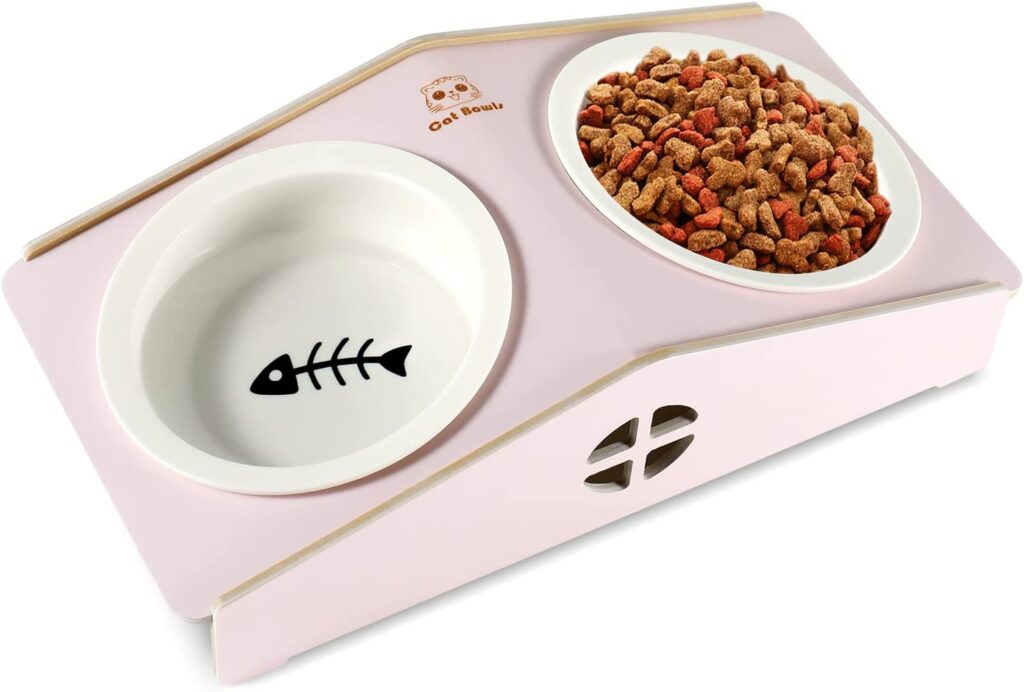 Elevated Tilted Raised Cat Food Ceramic Bowls