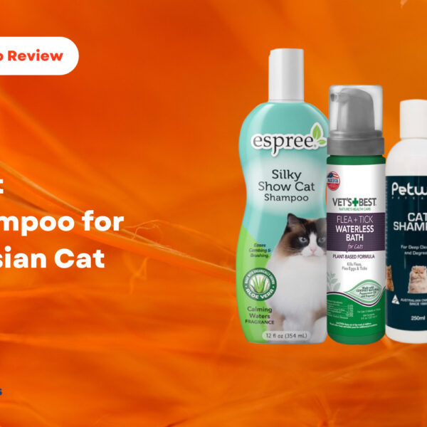 Best Shampoo for Persian Cat