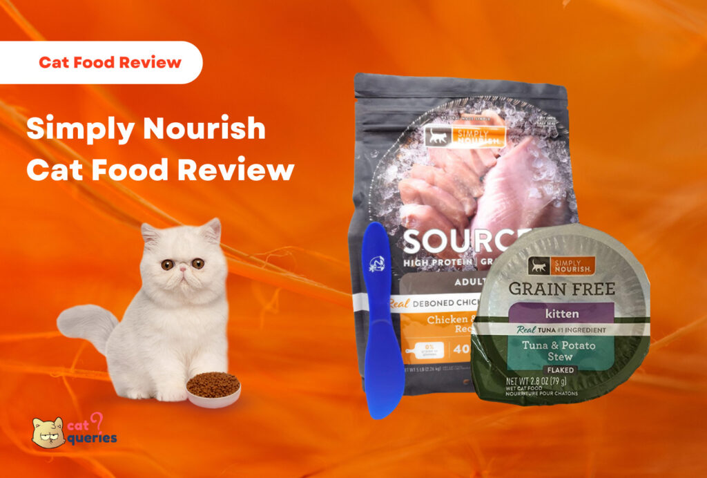 Ziwi Peak Cat Food Review 2024 Cat Queries
