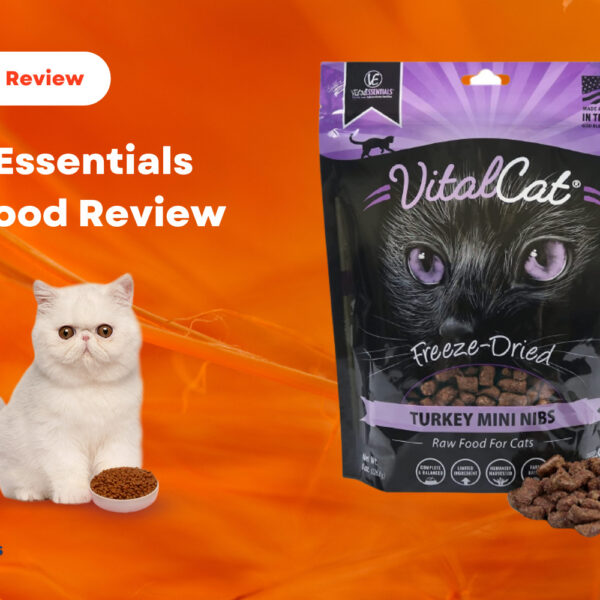 Vital Essentials Cat Food Review – 2023