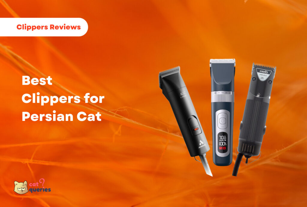 Best clippers for persian cats and kittens