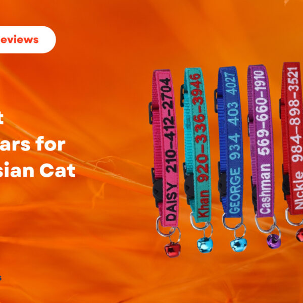 7 Best Clippers For Persian Cats in 2023 CatQueries