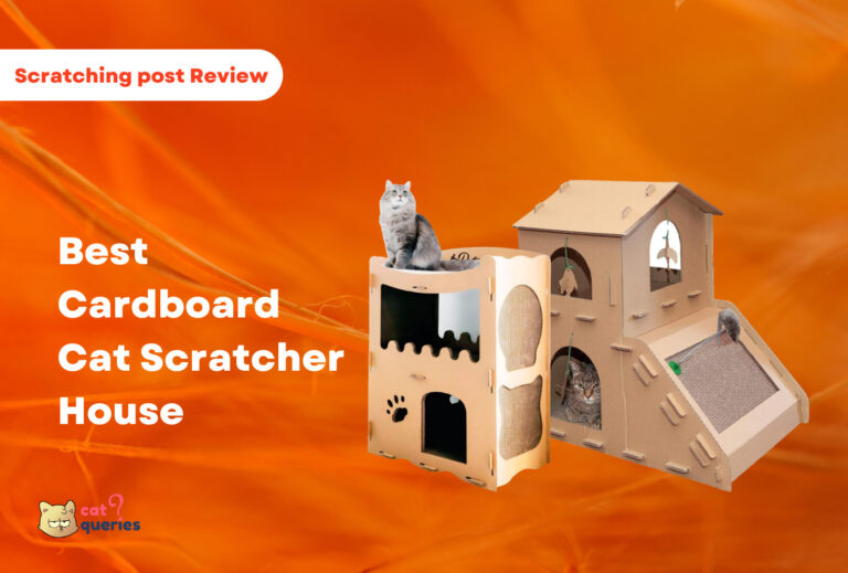 Best Cardboard Cat Scratcher House