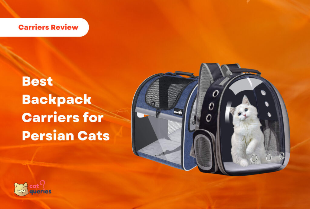 Best backpack carriers for persian cats