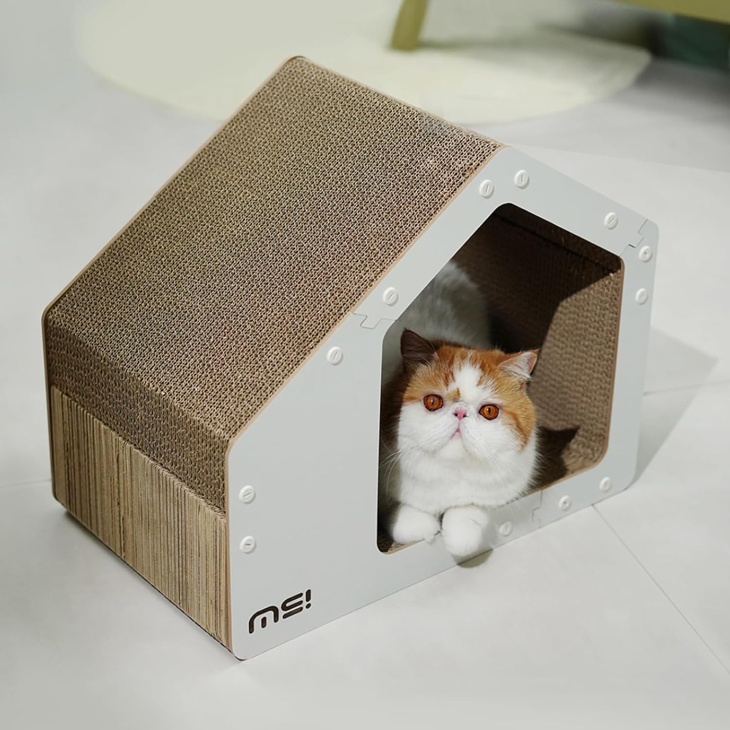 Ms! Make cat scratcher cardboard house 