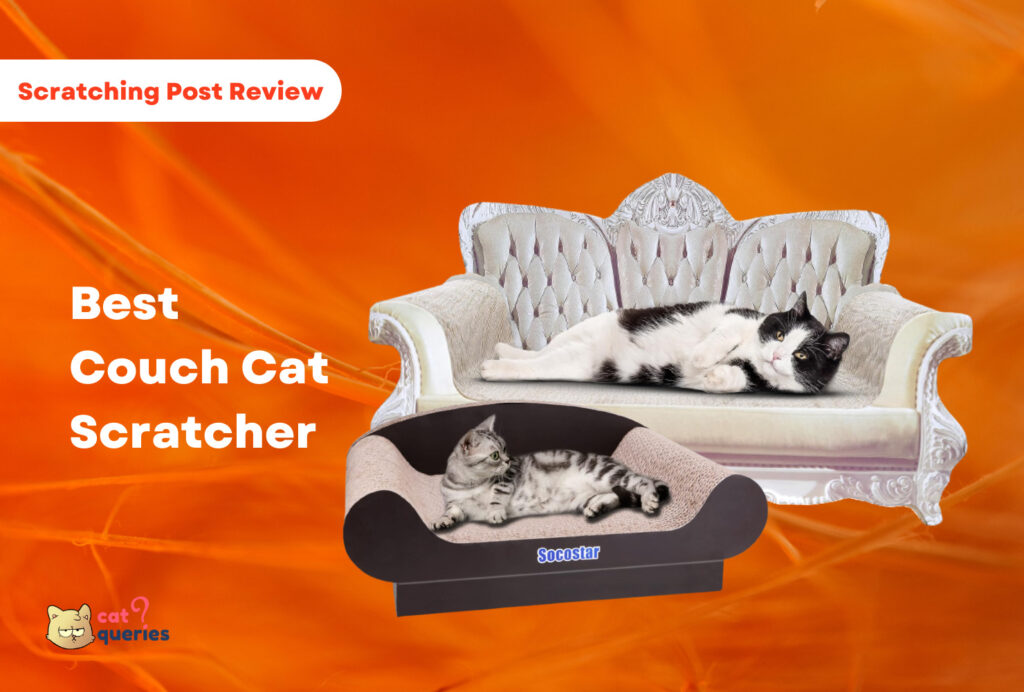 Best couch cat scratcher