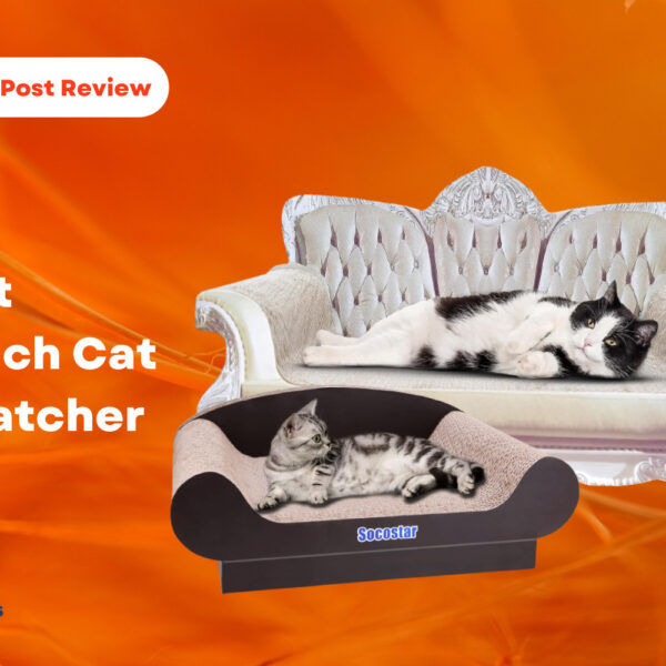 Best couch cat scratcher
