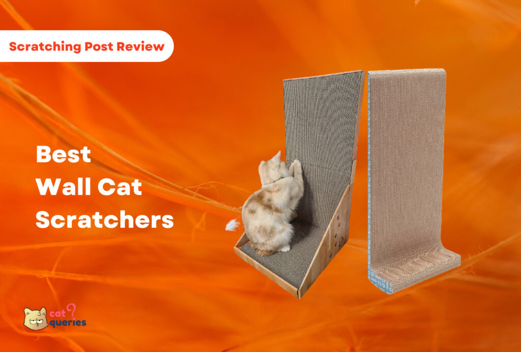 Best wall cat scratchers