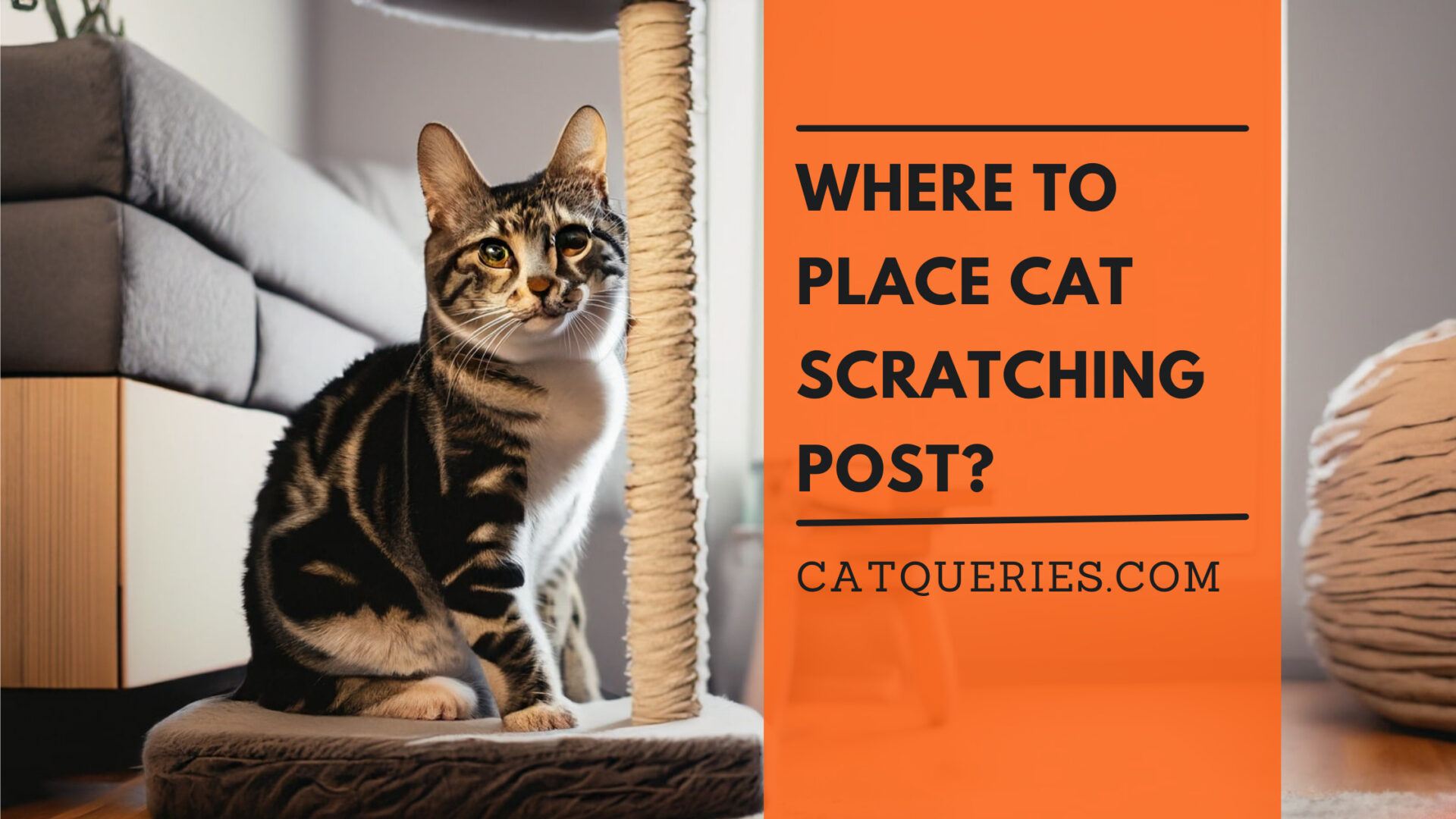 Where To Place Cat Scratching Post? Cat Queries